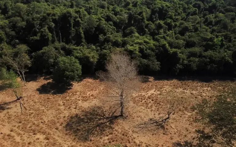 Combate ao desmatamento e crise climática é a prioridade com menor valor no Orçamento