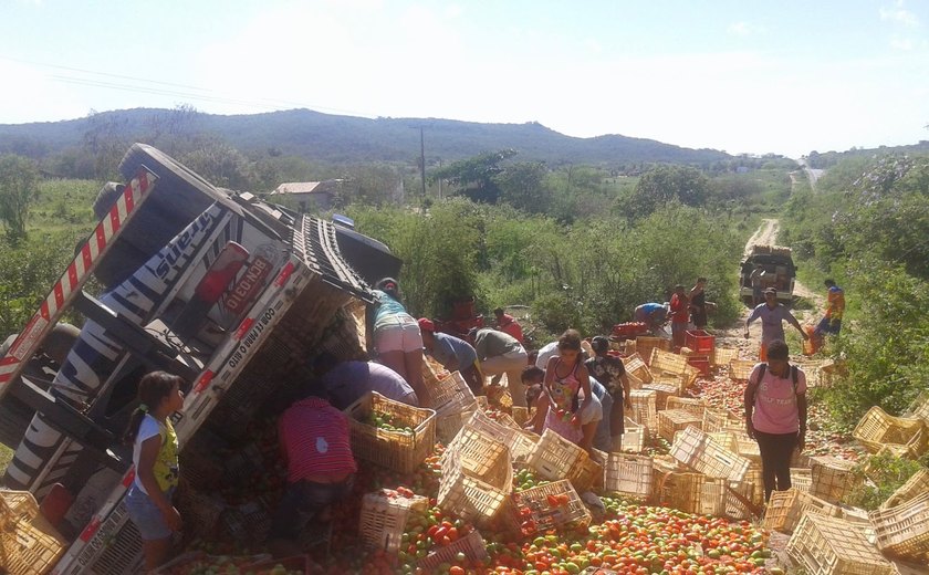 Caminhão carregado de tomate tomba na BR-423