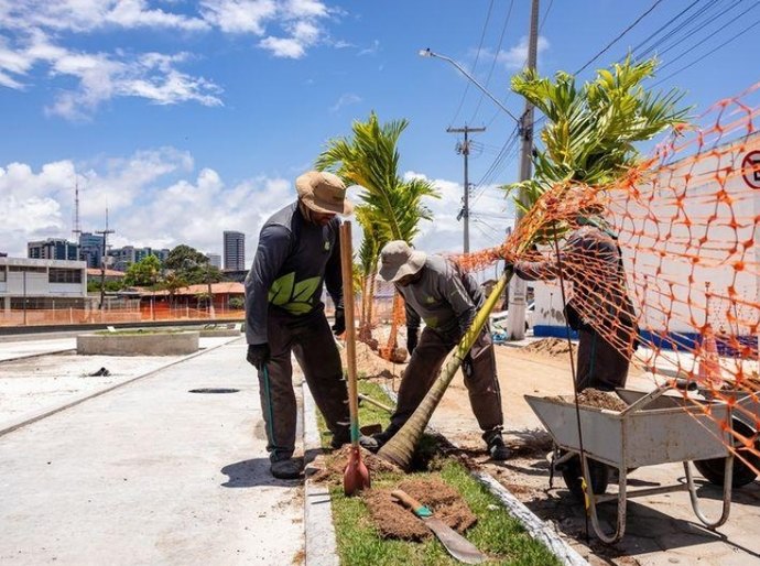 Arborização avança e marca reta final do Renasce Salgadinho, maior obra ambiental de Maceió
