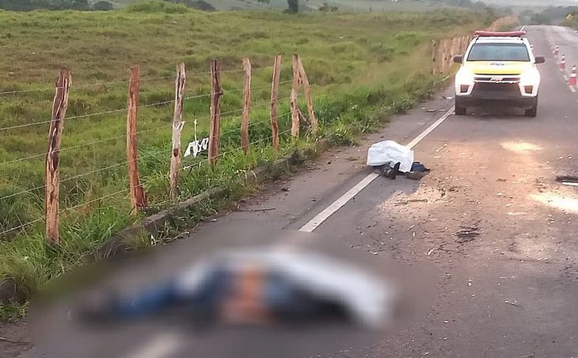 Motociclista e passageiro morrem atropelados na AL-115, em Lagoa da Canoa