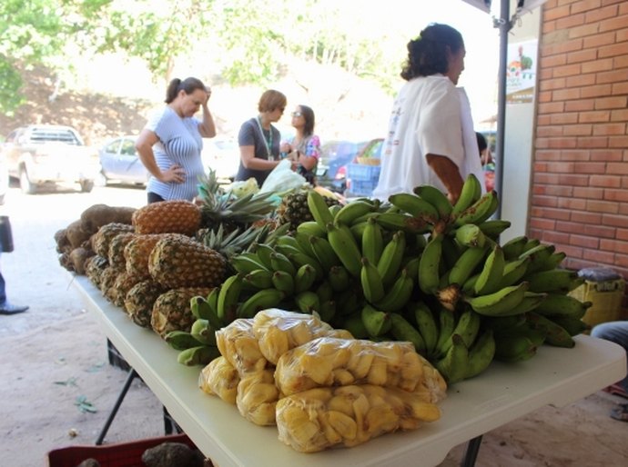 Feira orgânica comercializa frutas e verduras cultivadas sem agrotóxico