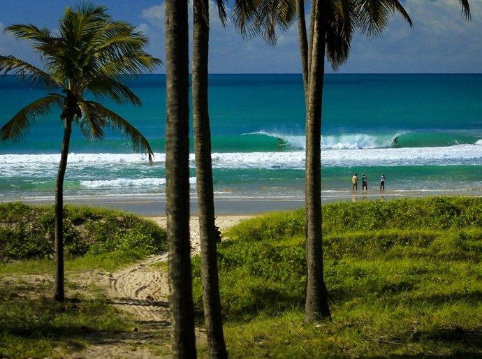 Praia do Francês é a primeira do Nordeste a receber o título de Reserva Nacional de Surf