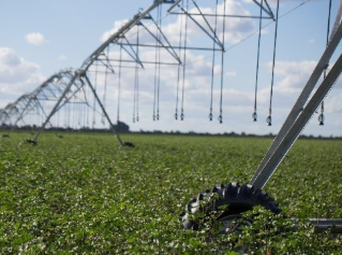 Estratégias de nutrição inteligente impulsiona a produtividade das lavouras brasileiras
