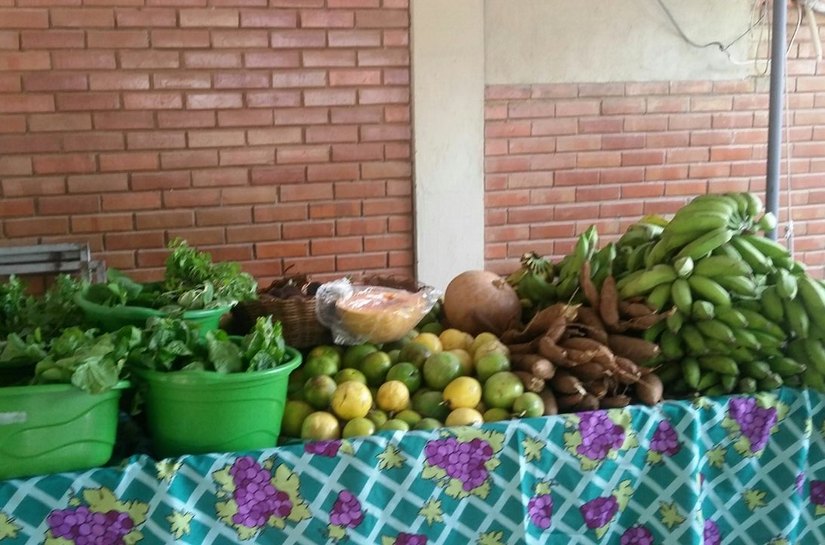 Feira orgânica e exposições acontecem na orla de Maceió no domingo, 18
