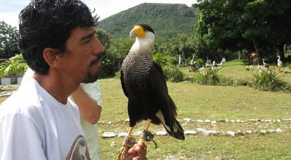 PARQUE DOS FALCÕES / Foto: INTERNET