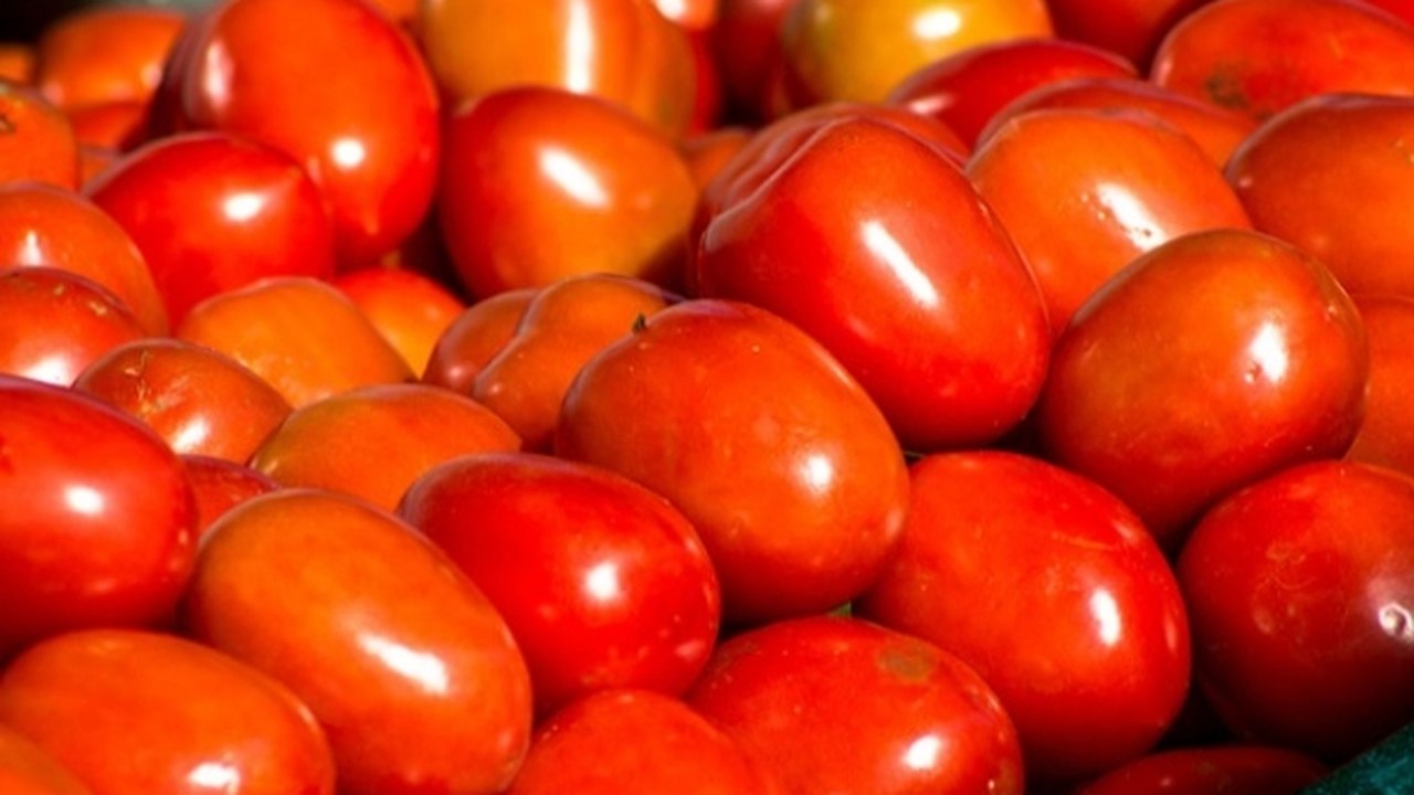 Conab: preços do tomate e da cenoura são destaques de alta em setembro no atacado