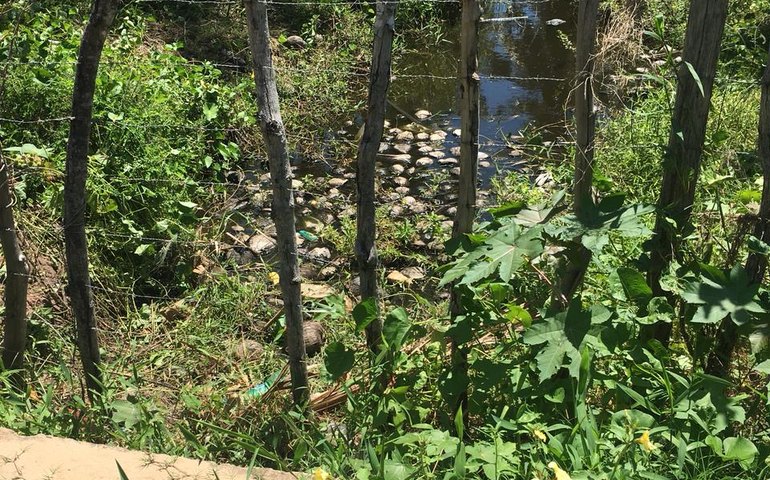 FPI do São Francisco multa Prefeitura de Feliz Deserto por lançamento de esgoto na APA da Marituba