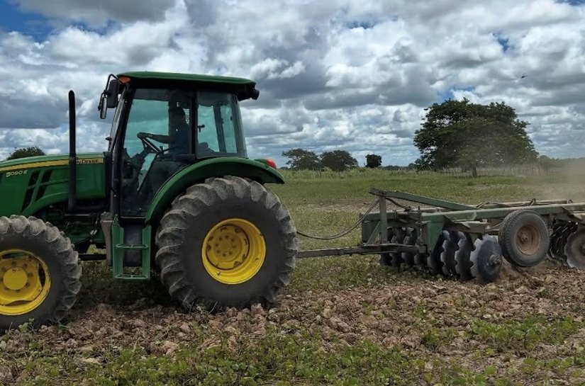 Agricultores familiares de Penedo estimam colher mais de 120 toneladas de feijão