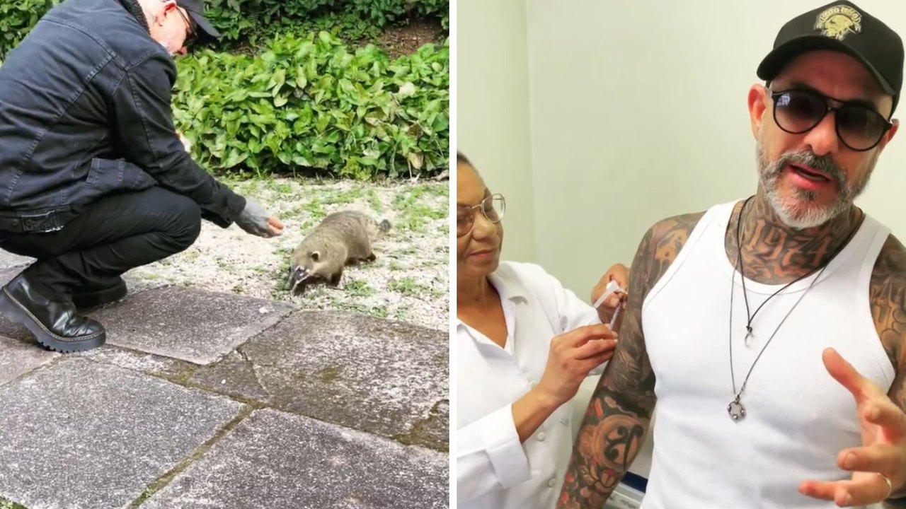 Chef Henrique Fogaça é mordido por quati e vai parar em hospital