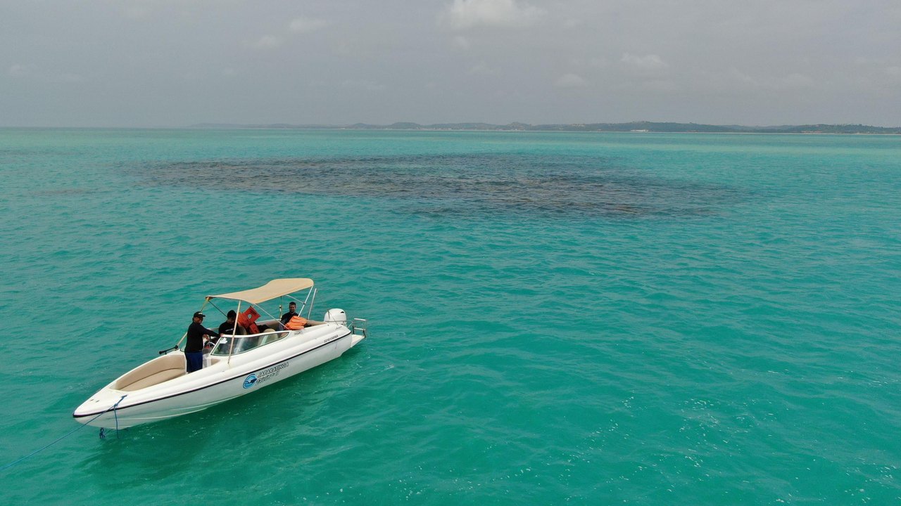 Fapeal impulsiona pesquisa sobre recifes de corais e contribui para a conservação marinha em Alagoas