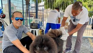 vacina animais / Foto: Foto: Ascom/SMS