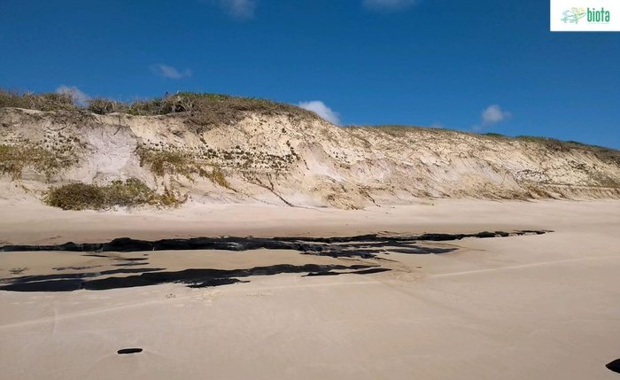 Grande mancha de óleo encontrada na areia do litoral Sul