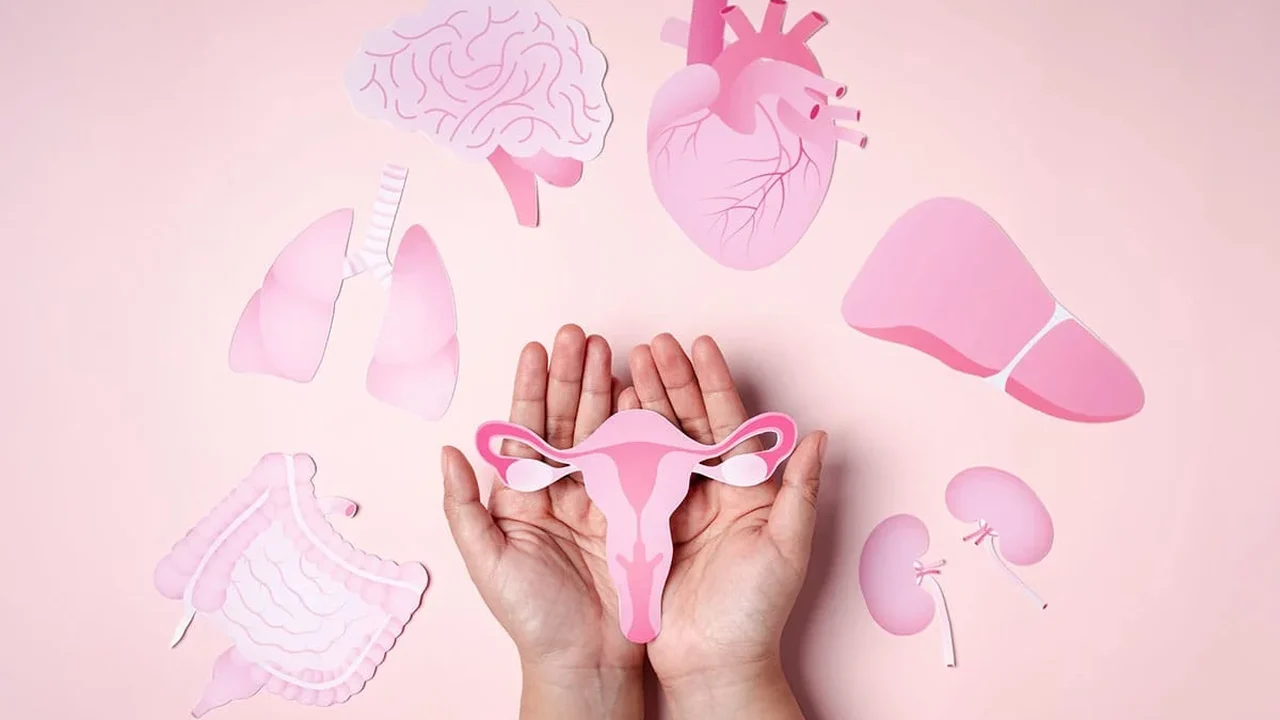 Menopausa: quando os hormônios mudam e o corpo pede atenção
