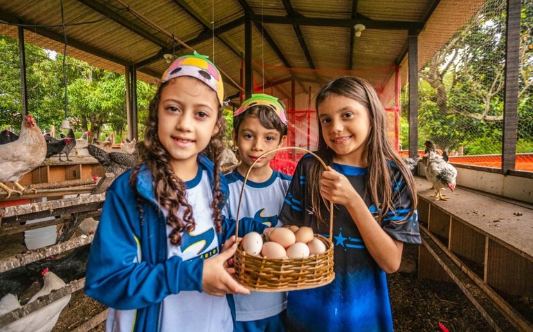 Educação realiza seminário sobre avicultura e suinocultura no Arapiraca Agroshow