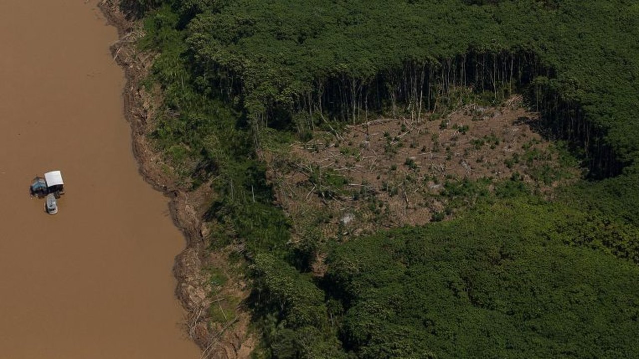 'PL da Devastação': alerta vermelho para agenda ambiental em ano de COP?