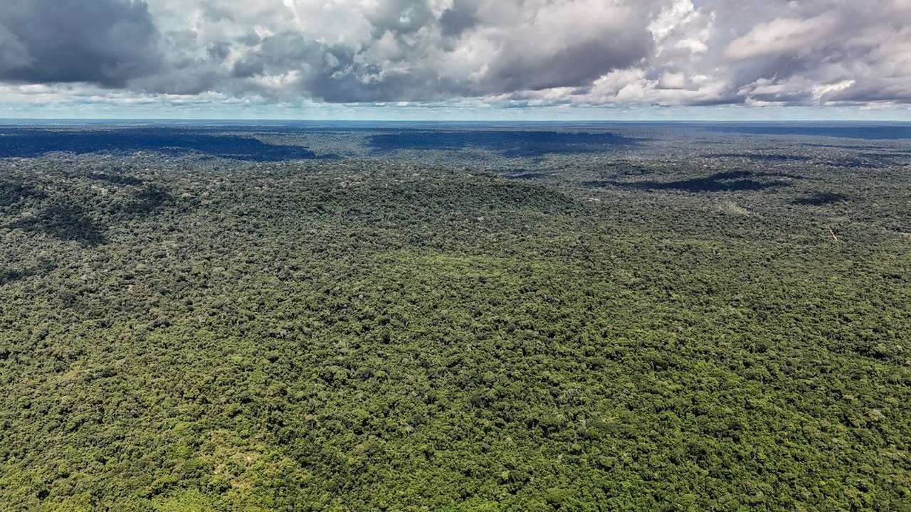 Adversária em campo, Noruega é parceira de ações ambientais do Brasil
