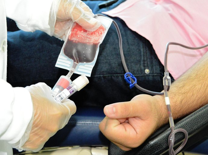 Hematologista do Hemoal destaca importância do cadastro para doação de medula óssea
