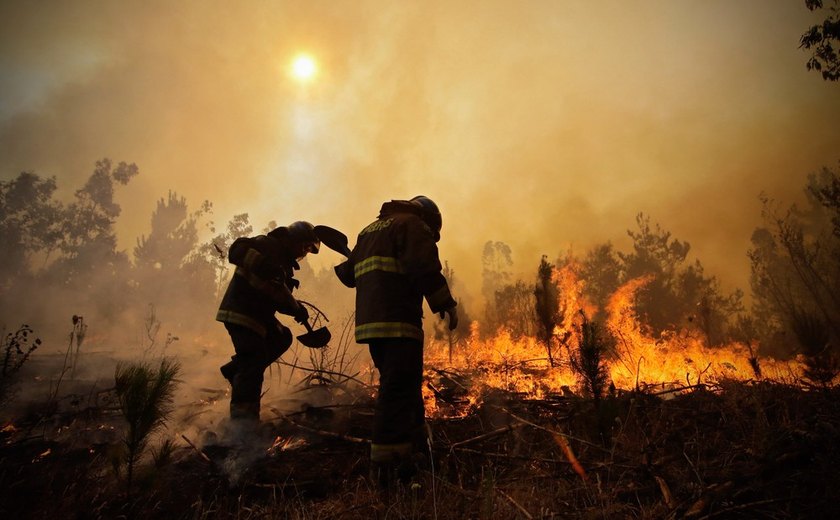 Em dois meses, área de combate a incêndios do Ibama tem terceira chefia