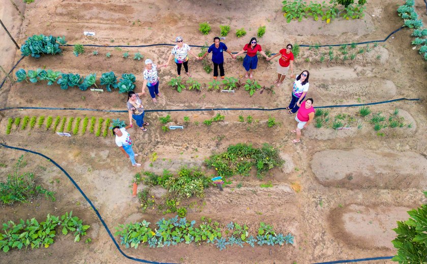 Hortas Urbanas unem a alimentação saudável ao combate à fome em Alagoas