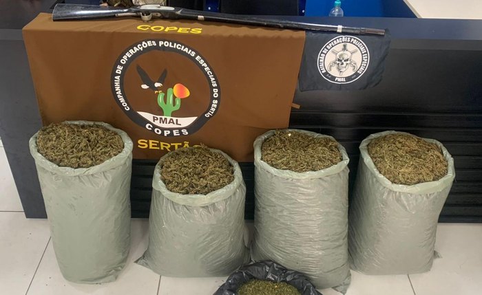 Polícia Militar de Alagoas apreende mais de 62kg de drogas em uma semana Polícia Militar de Alagoas apreende mais de 62kg de drogas em uma semana
