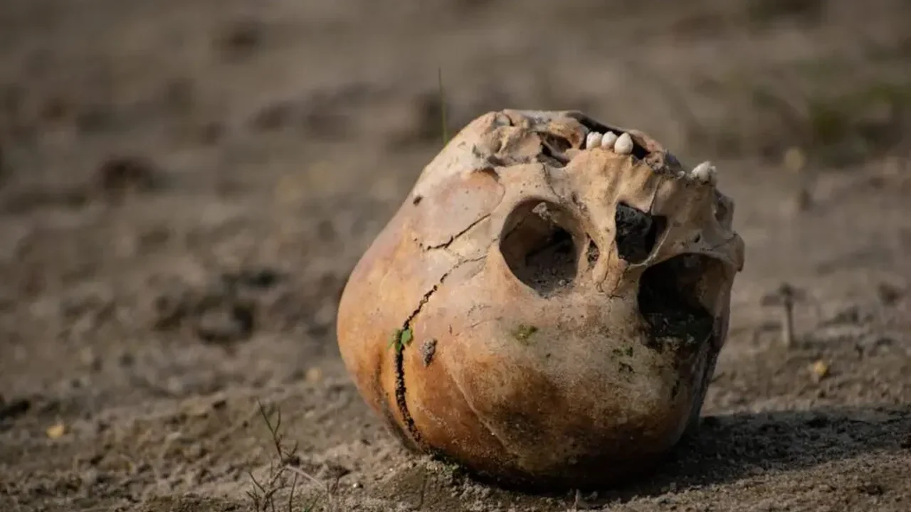 Suspeito é preso em Uganda após a descoberta de 17 crânios humanos