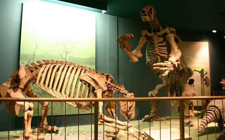 Estudo brasileiro revela que megafauna sobreviveu por mais tempo e desafia paradigmas (FOTOS)