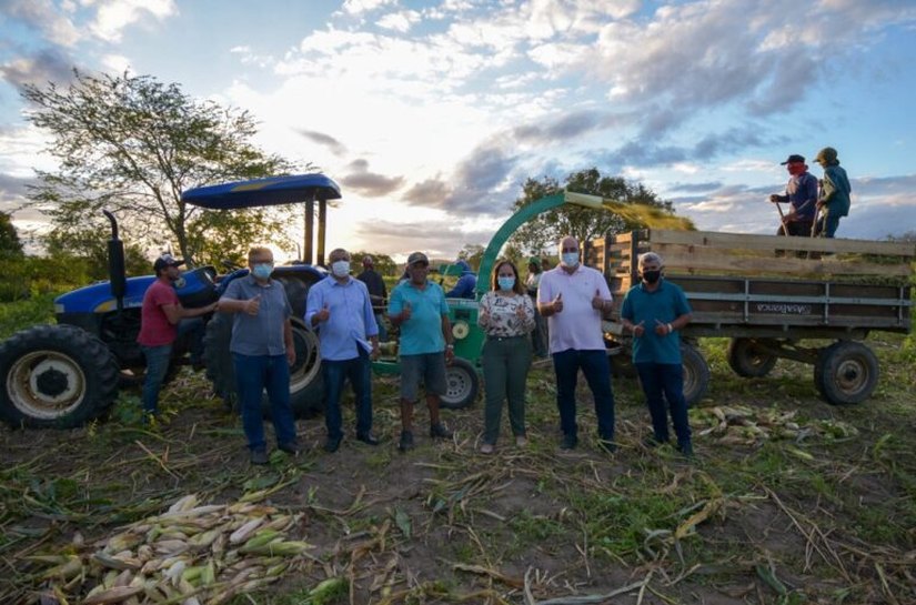 Prefeitura de Santana do Ipanema auxilia agricultores na produção de silagem