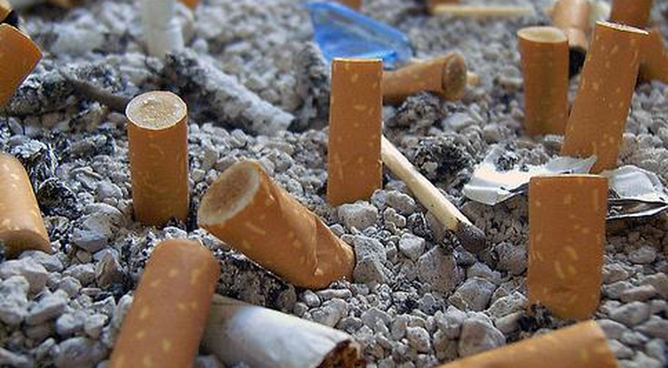 Foto: EBC (Simplifica/Creative Commons)