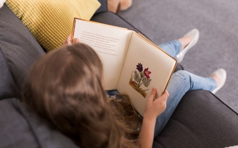 6 dicas de livros para ler nas férias de meio do ano