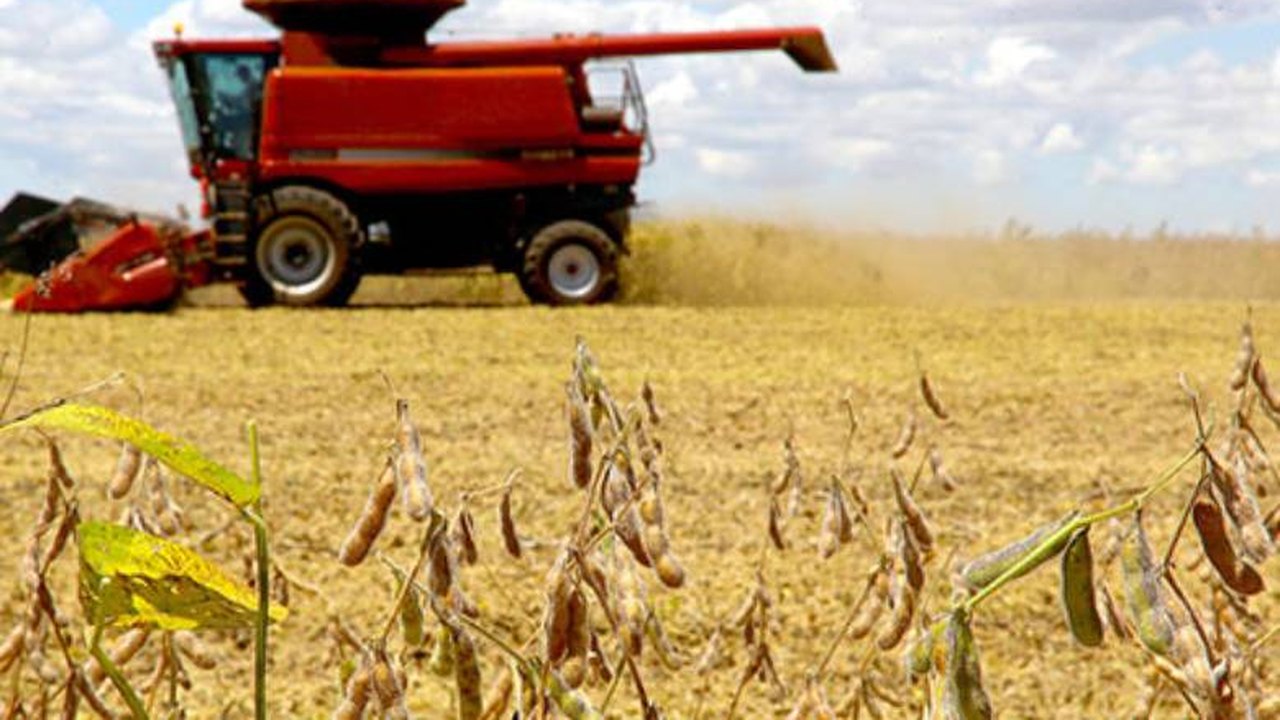 [IBGE] Em Alagoas, valor da produção agrícola alcança recorde de R$ 2,4 bilhões em 2020