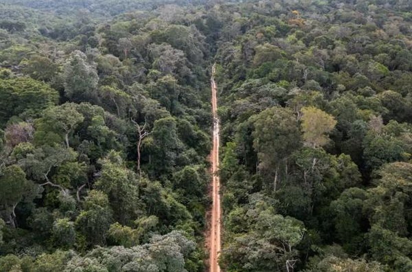 Banco internacional doa US$ 800 mil para criação de museu da Amazônia