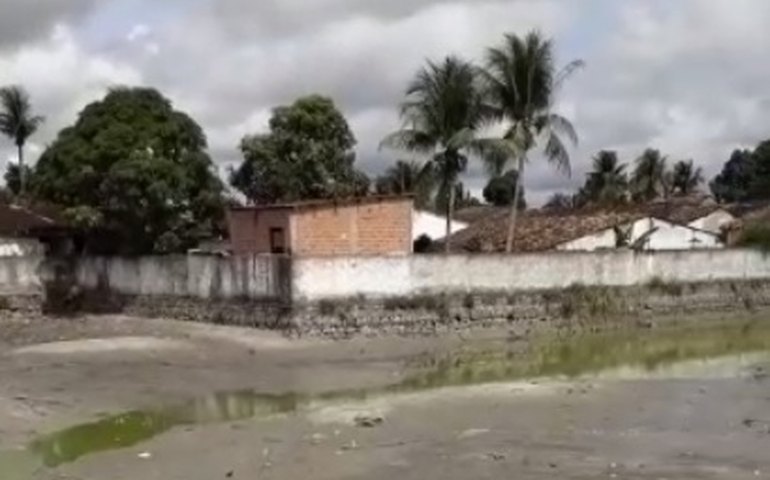 Ação da prefeitura de Pilar retira jacarés de dentro de lago da cidade