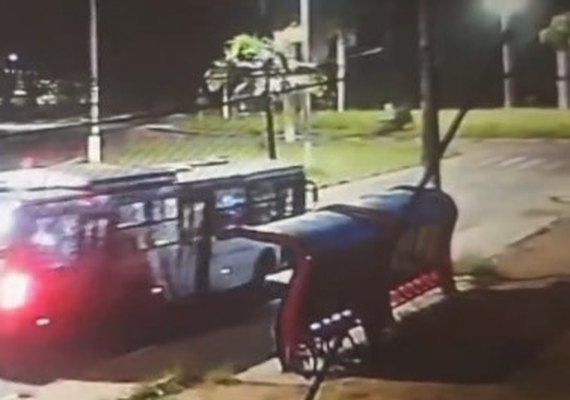 Busca por garota de 17 anos sumida há uma semana mobiliza 100 agentes, cães e drones