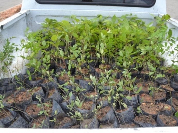 Recursos Hídricos lança cartilha de educação ambiental em Murici