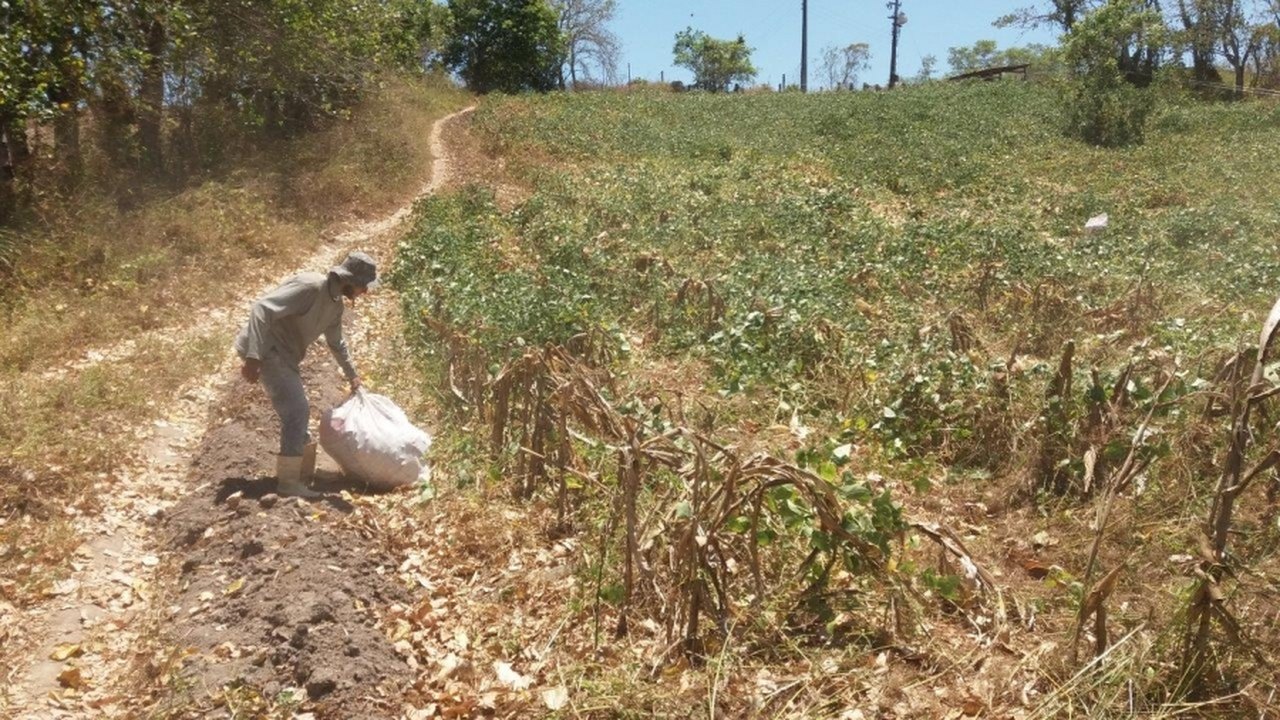 Garantia Safra minimiza efeitos da seca na renda de agricultores da Fetag/AL