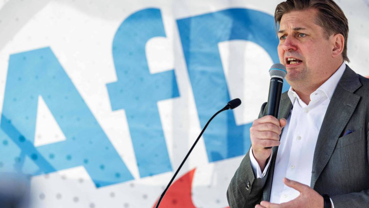 Partido de extrema direita alemão AfD afasta líder da delegação de eurodeputados