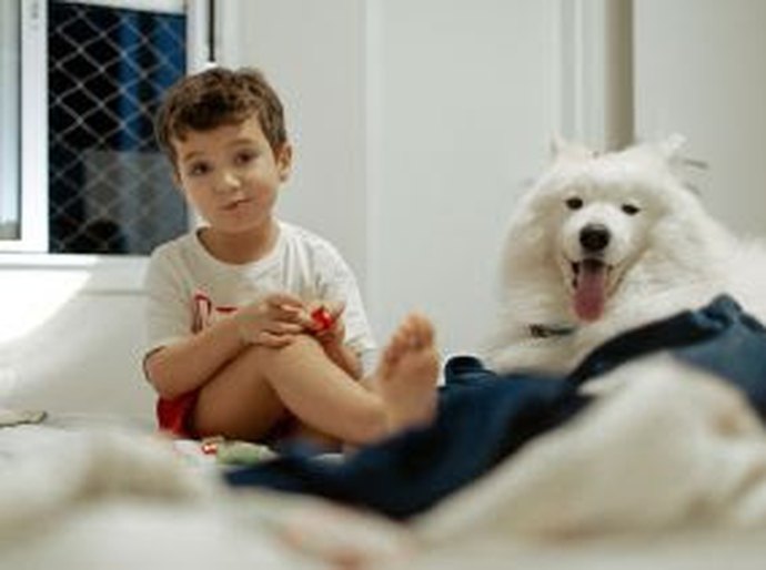 Entre viagens e brincadeiras: o que muda para os pets durante as férias escolares