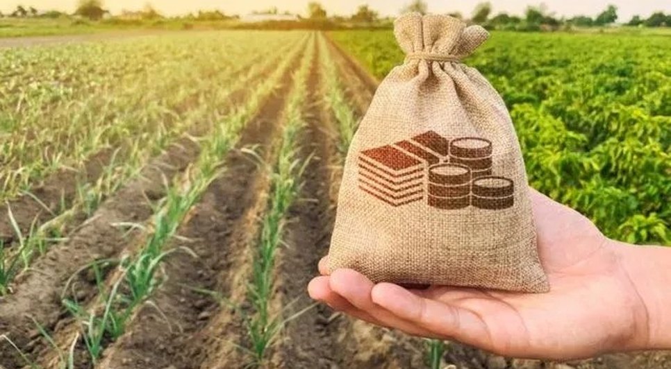 Faese renegocia dívidas de operações de crédito rural em Sergipe; veja condições / Foto: Foto: Faese/SE