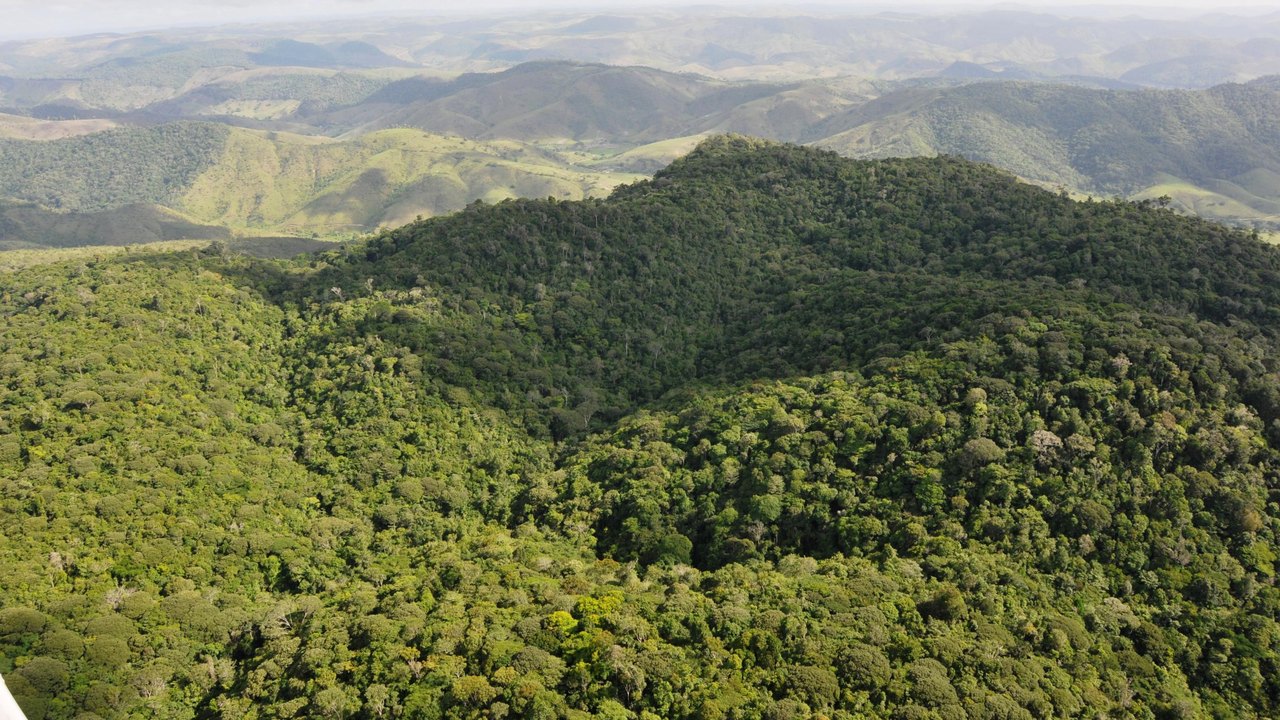 Alagoas registra queda de 68,4% no desmatamento em 2025, aponta MapBiomas