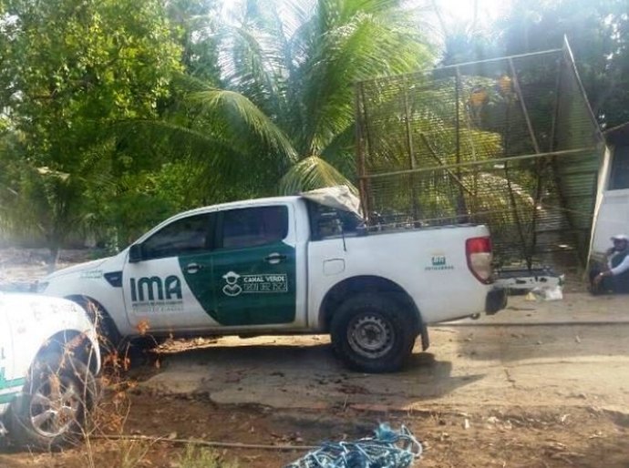 Animais silvestres são encontrados em cativeiro em Porto de Pedras