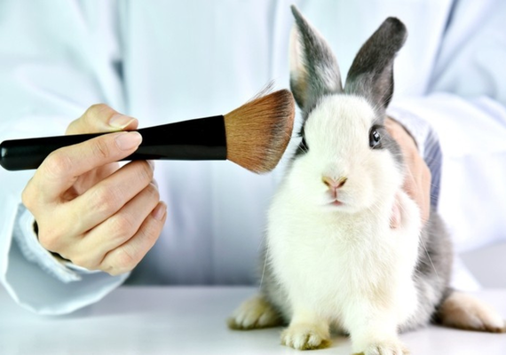 Câmara aprova fim de testes com animais em cosméticos e produtos de higiene