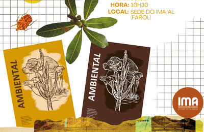 IMA/AL lança revistas e Concurso de Manuscritos sobre praias e balneabilidade 