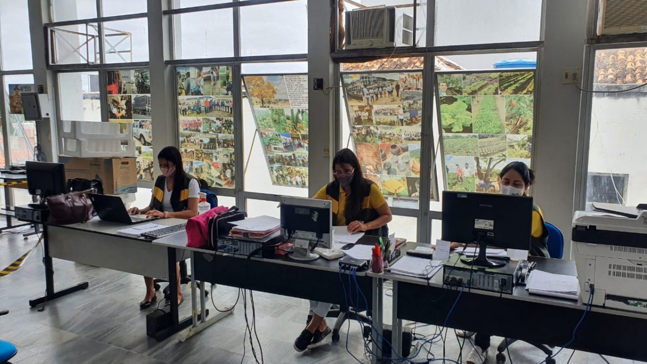 Emater e FAPEAL divulgam resultado definitivo de aprovados e classificados para Bolsas de Extensão