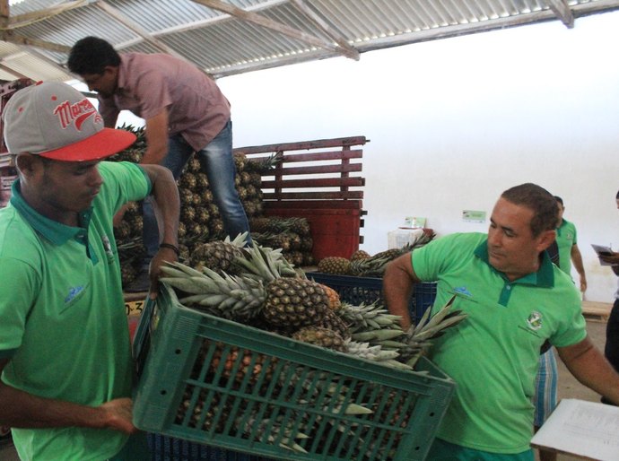 Agricultores familiares de Arapiraca iniciam entrega da produção ao PAA