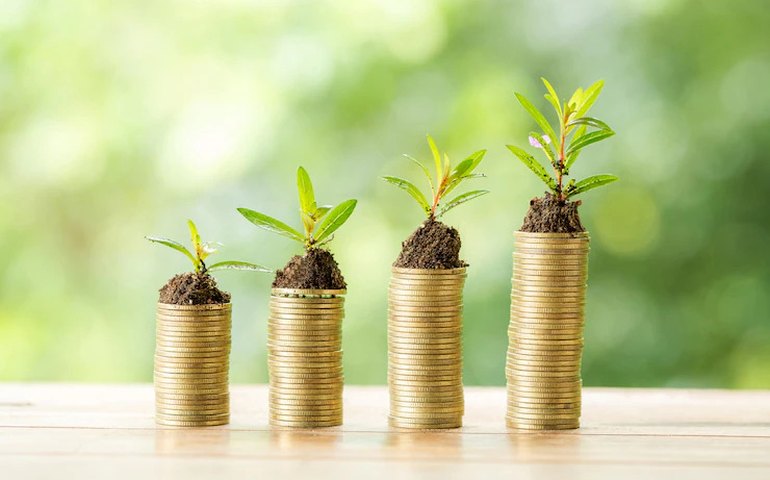 Bioeconomia pode aquecer mercado nos próximos anos