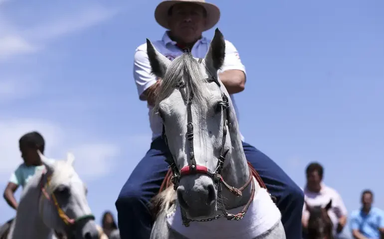 STF confirma constitucionalidade da vaquejada por 6 votos a 4