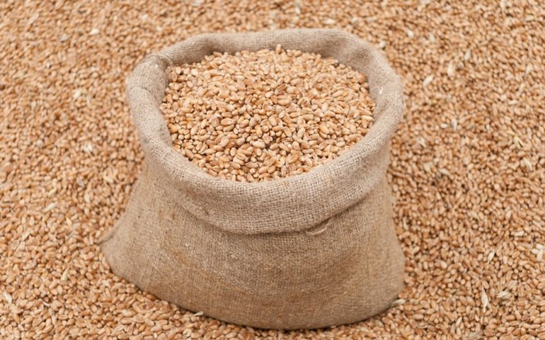 Exportações do agronegócio batem recorde em agosto, com receita de US$ 15,63 bilhões