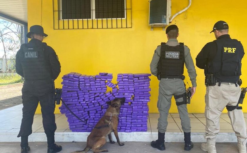 Polícia Militar apreende mais de 190 quilos de maconha em São Sebastião