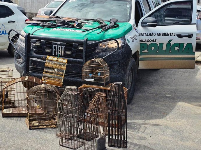 Polícia Militar apreende sete armas, armadilhas e aves silvestres em Matriz do Camaragibe