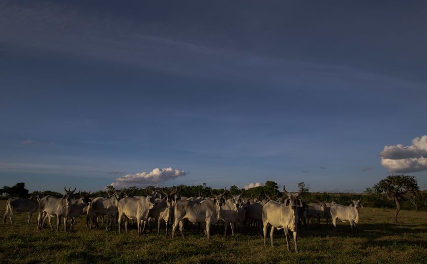 Plano ABC+ para reduzir emissão de carbono em vigor em setembro